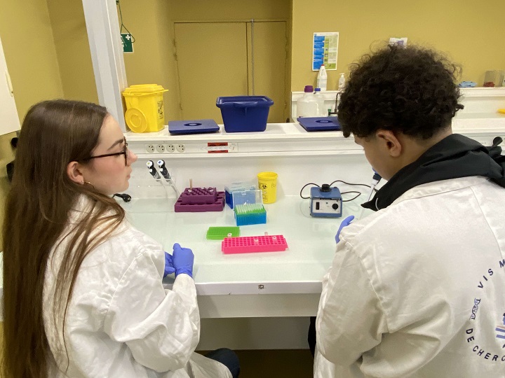 Immersion des élèves de Première de spécialité SVT